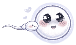 Fertilidade e preparo para gestação